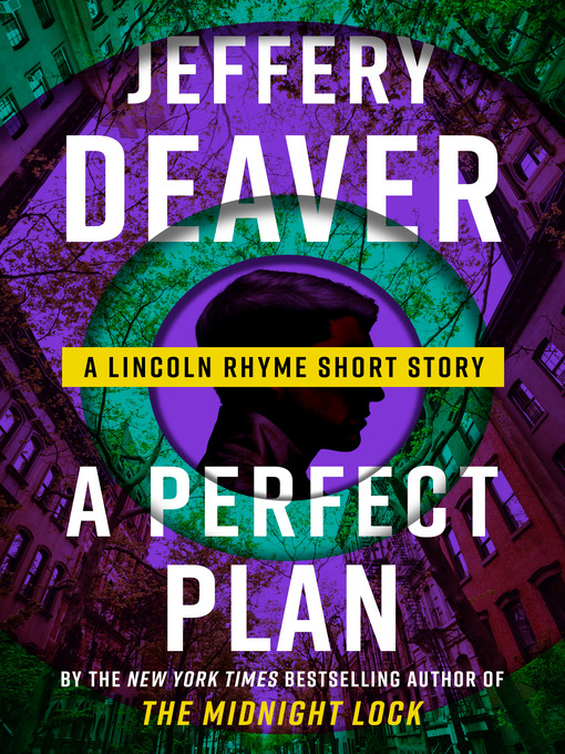 Cover image for A Perfect Plan